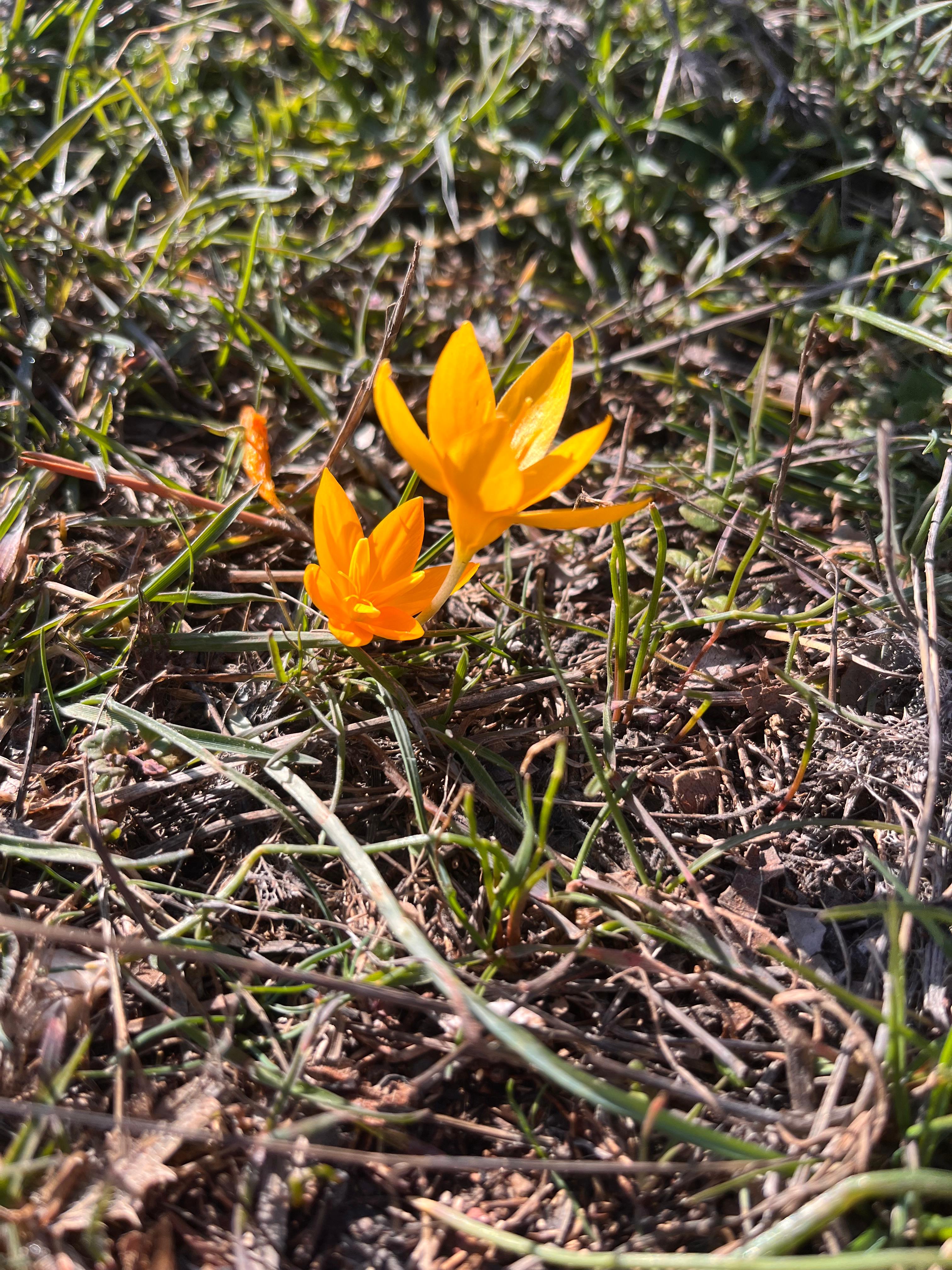 Vazgeçmenin Dayanılmaz Hafifliği